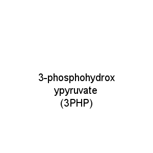 3-phosphohydroxypyruvate (3PHP)